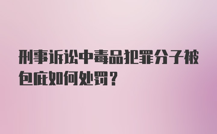 刑事诉讼中毒品犯罪分子被包庇如何处罚？