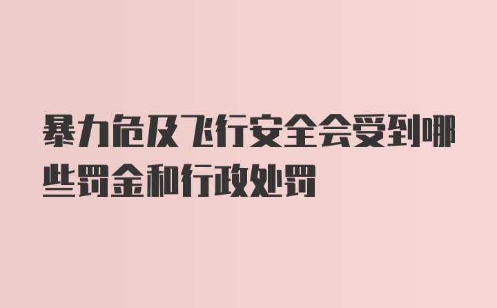 暴力危及飞行安全会受到哪些罚金和行政处罚