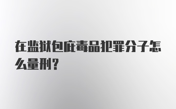 在监狱包庇毒品犯罪分子怎么量刑?