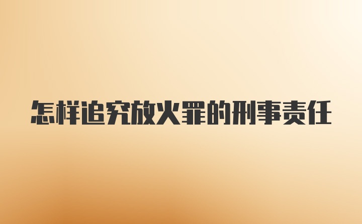 怎样追究放火罪的刑事责任