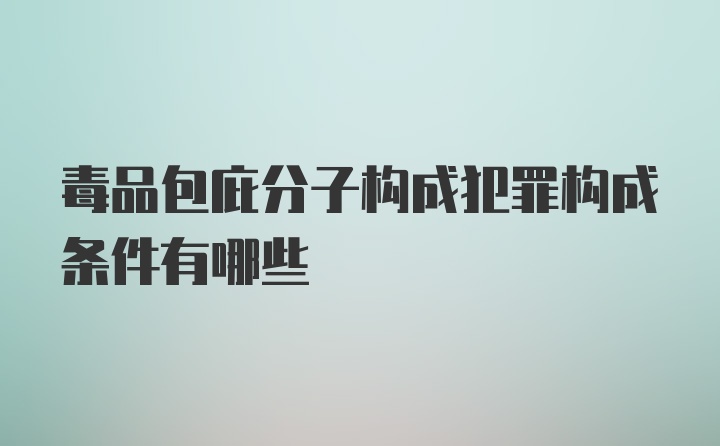 毒品包庇分子构成犯罪构成条件有哪些