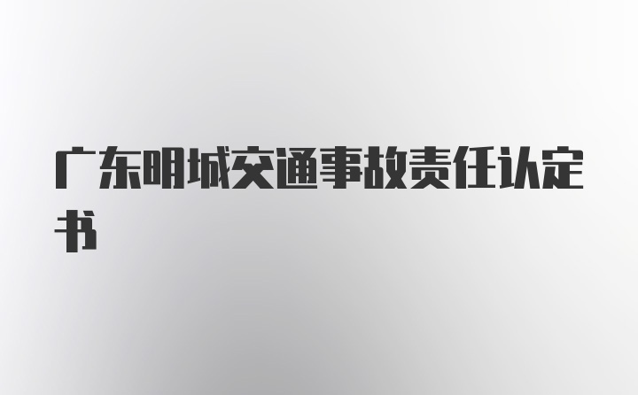 广东明城交通事故责任认定书