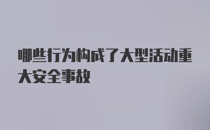 哪些行为构成了大型活动重大安全事故