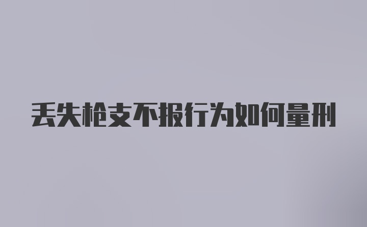 丢失枪支不报行为如何量刑