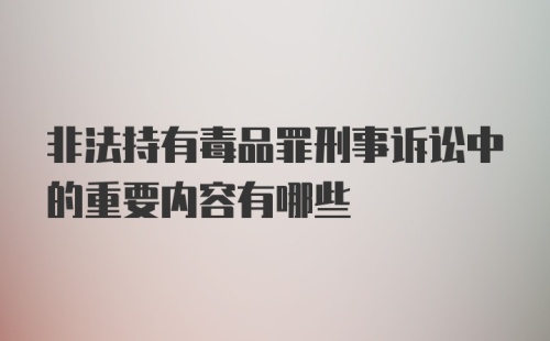 非法持有毒品罪刑事诉讼中的重要内容有哪些