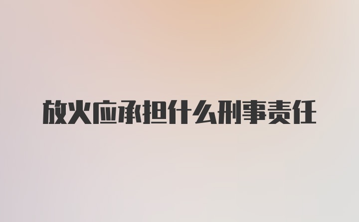 放火应承担什么刑事责任