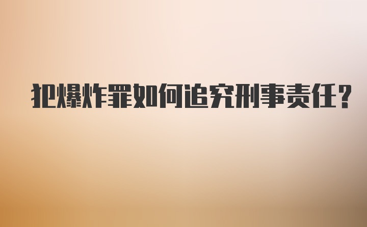 犯爆炸罪如何追究刑事责任？