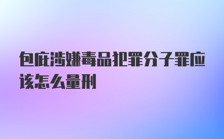 包庇涉嫌毒品犯罪分子罪应该怎么量刑