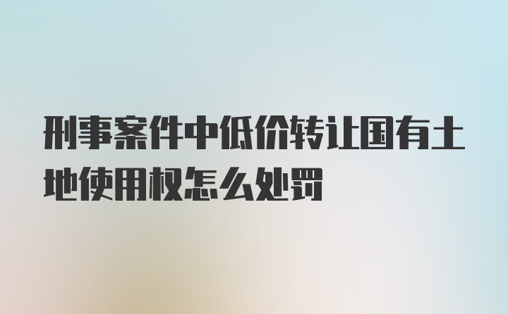 刑事案件中低价转让国有土地使用权怎么处罚