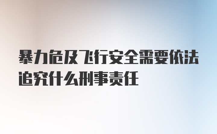 暴力危及飞行安全需要依法追究什么刑事责任