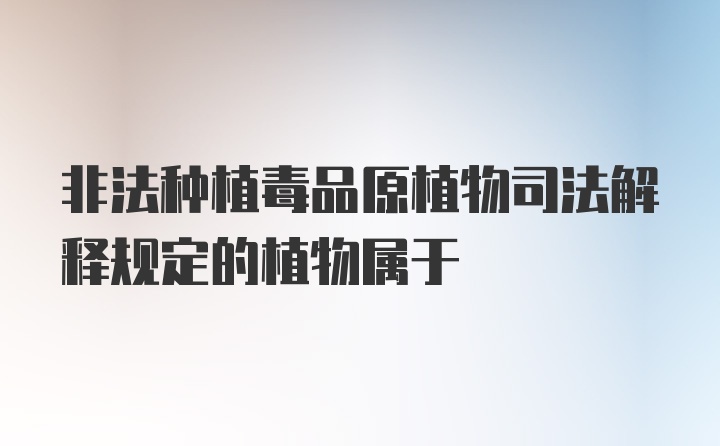 非法种植毒品原植物司法解释规定的植物属于