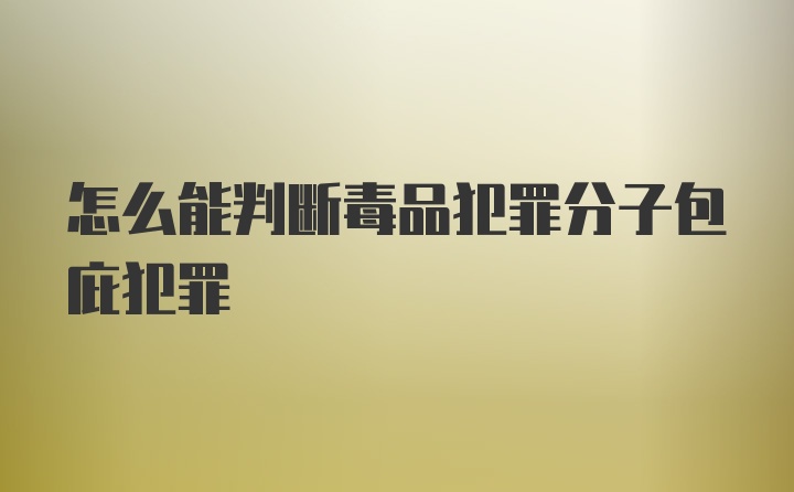 怎么能判断毒品犯罪分子包庇犯罪