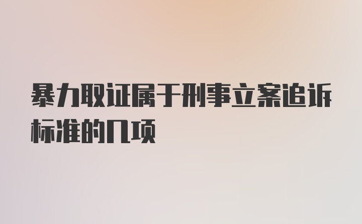 暴力取证属于刑事立案追诉标准的几项