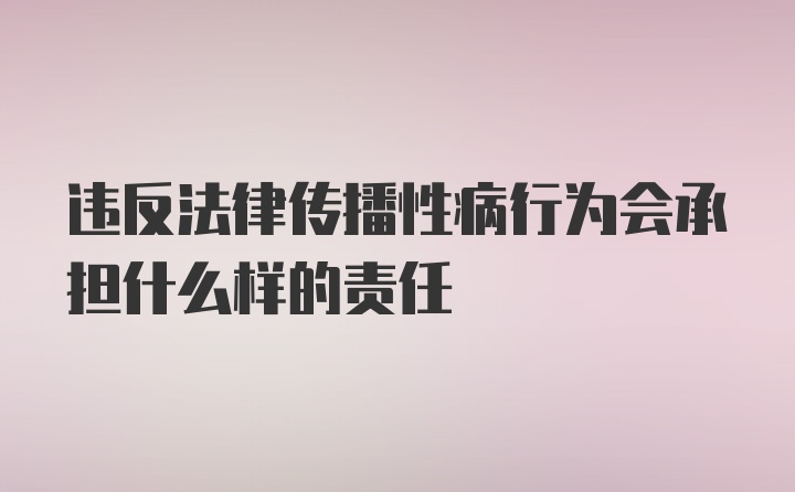 违反法律传播性病行为会承担什么样的责任