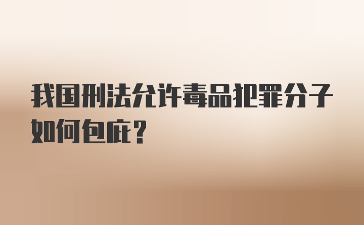 我国刑法允许毒品犯罪分子如何包庇？