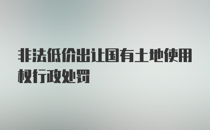 非法低价出让国有土地使用权行政处罚