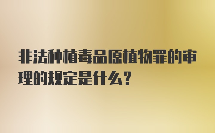 非法种植毒品原植物罪的审理的规定是什么？