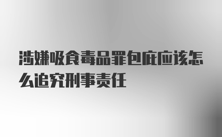 涉嫌吸食毒品罪包庇应该怎么追究刑事责任