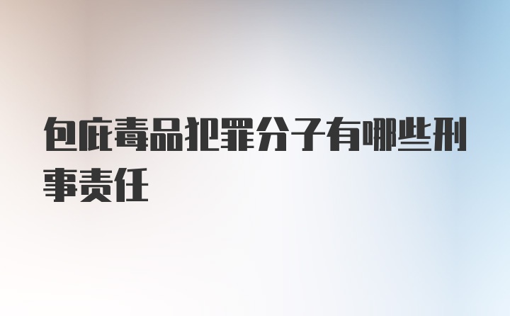 包庇毒品犯罪分子有哪些刑事责任