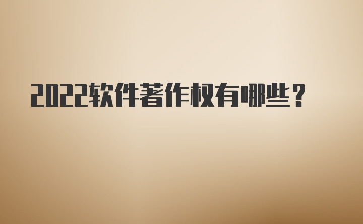 2022软件著作权有哪些？