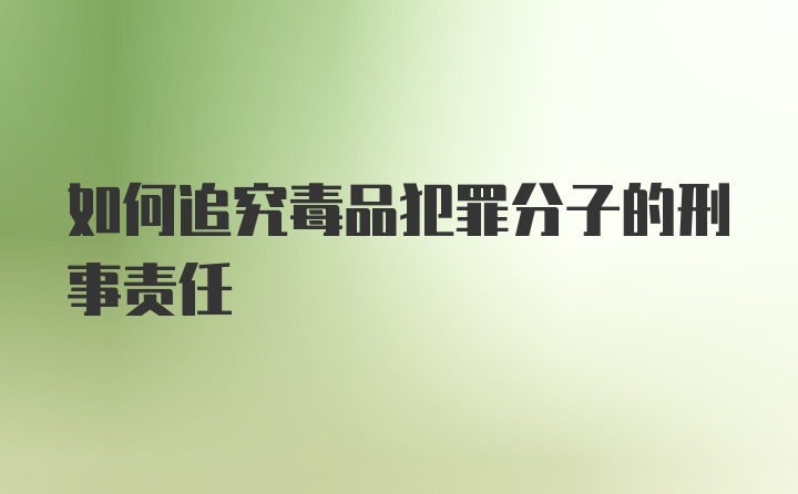 如何追究毒品犯罪分子的刑事责任