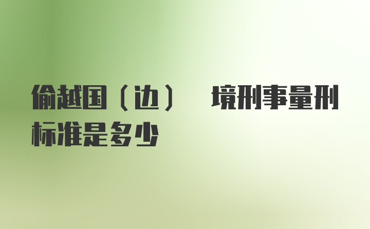 偷越国(边) 境刑事量刑标准是多少