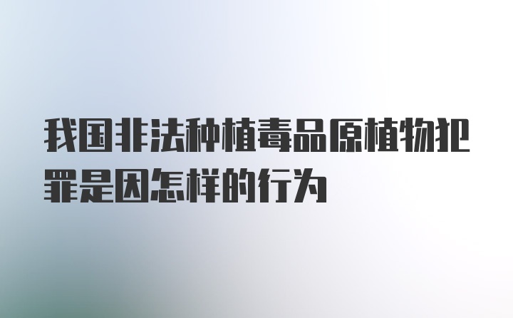 我国非法种植毒品原植物犯罪是因怎样的行为