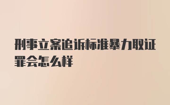 刑事立案追诉标准暴力取证罪会怎么样