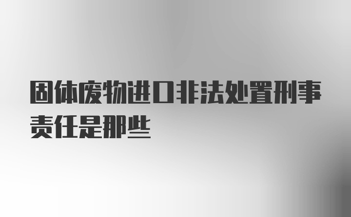 固体废物进口非法处置刑事责任是那些