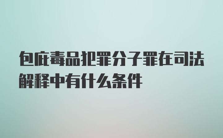 包庇毒品犯罪分子罪在司法解释中有什么条件