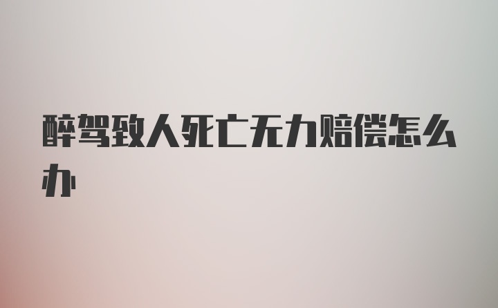 醉驾致人死亡无力赔偿怎么办