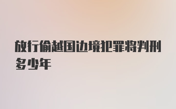 放行偷越国边境犯罪将判刑多少年