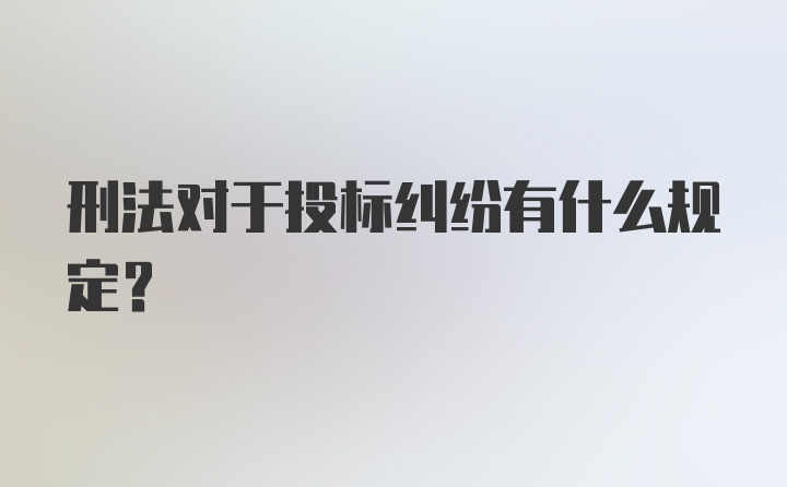 刑法对于投标纠纷有什么规定？