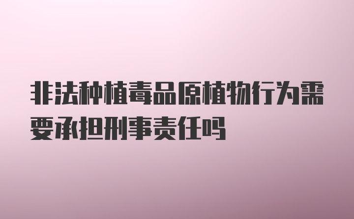 非法种植毒品原植物行为需要承担刑事责任吗