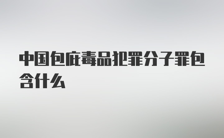 中国包庇毒品犯罪分子罪包含什么