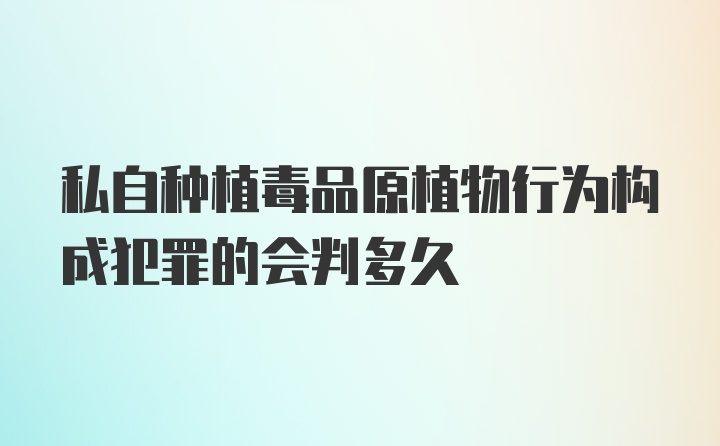 私自种植毒品原植物行为构成犯罪的会判多久