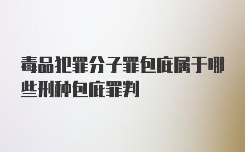 毒品犯罪分子罪包庇属于哪些刑种包庇罪判