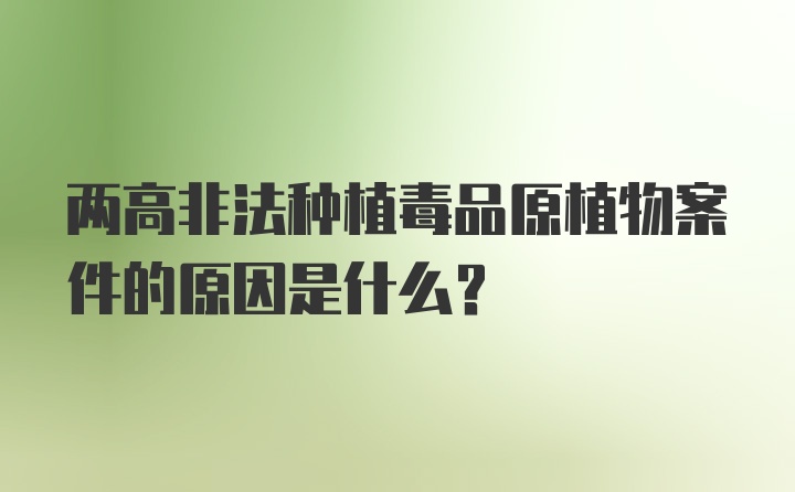 两高非法种植毒品原植物案件的原因是什么？