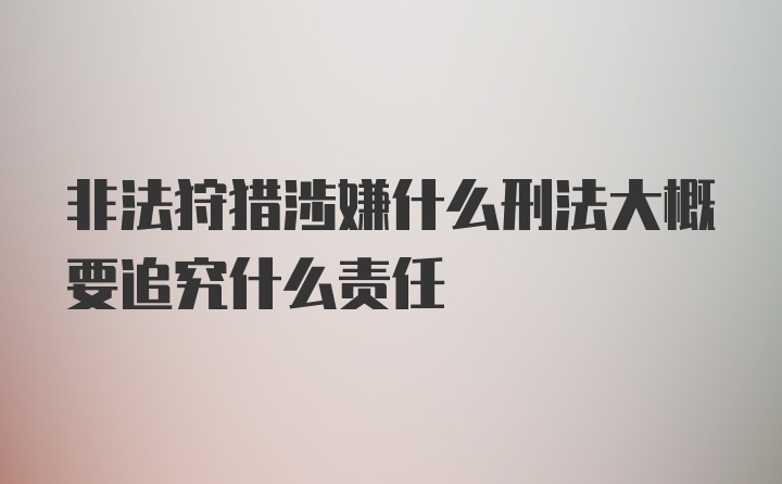 非法狩猎涉嫌什么刑法大概要追究什么责任