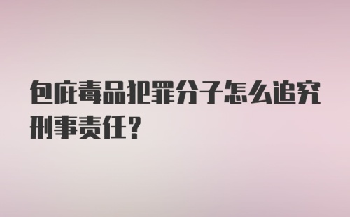 包庇毒品犯罪分子怎么追究刑事责任？