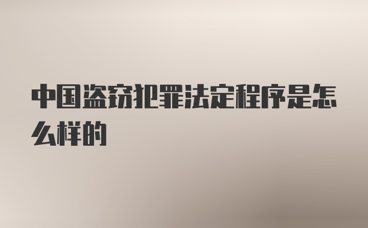 中国盗窃犯罪法定程序是怎么样的