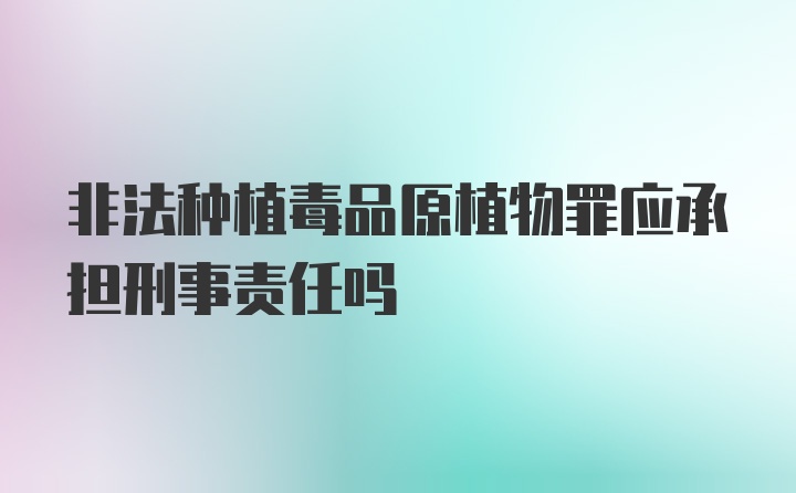 非法种植毒品原植物罪应承担刑事责任吗