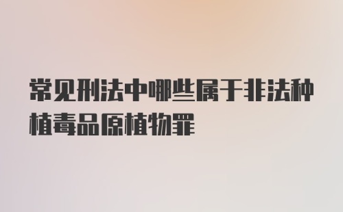 常见刑法中哪些属于非法种植毒品原植物罪