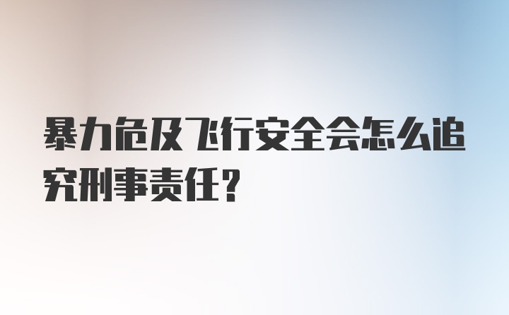 暴力危及飞行安全会怎么追究刑事责任？