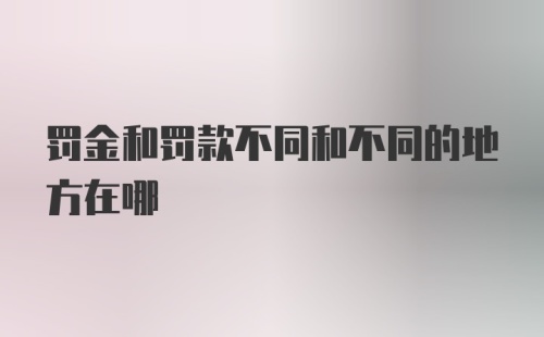 罚金和罚款不同和不同的地方在哪