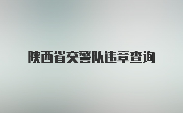 陕西省交警队违章查询