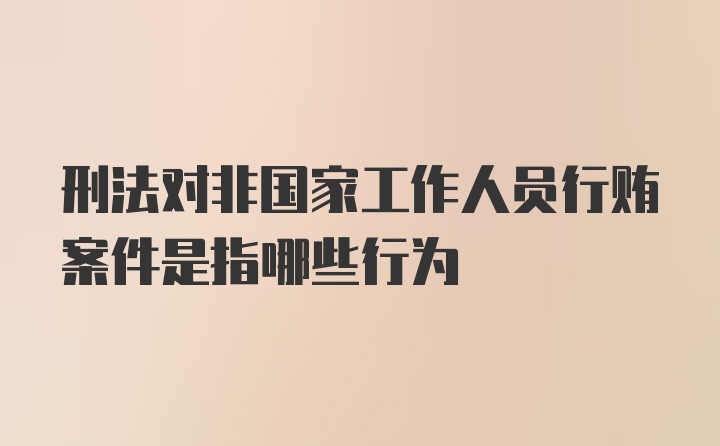 刑法对非国家工作人员行贿案件是指哪些行为