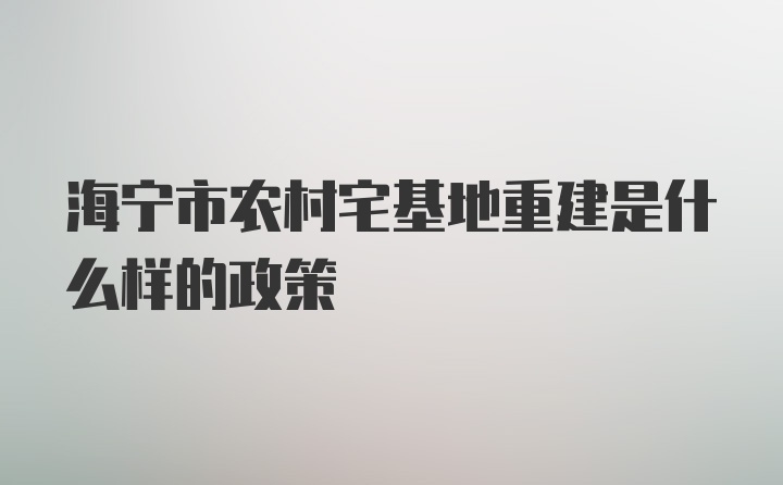 海宁市农村宅基地重建是什么样的政策