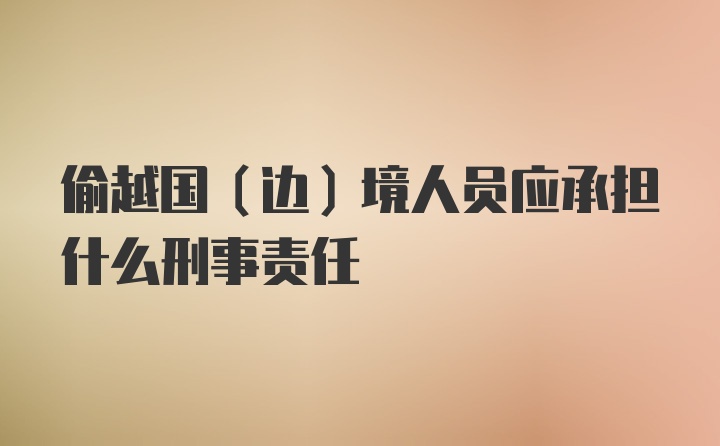 偷越国（边）境人员应承担什么刑事责任