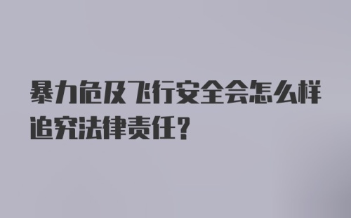 暴力危及飞行安全会怎么样追究法律责任？